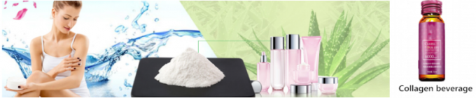 Косметический морской порошок Hydrolyzed_Collagen