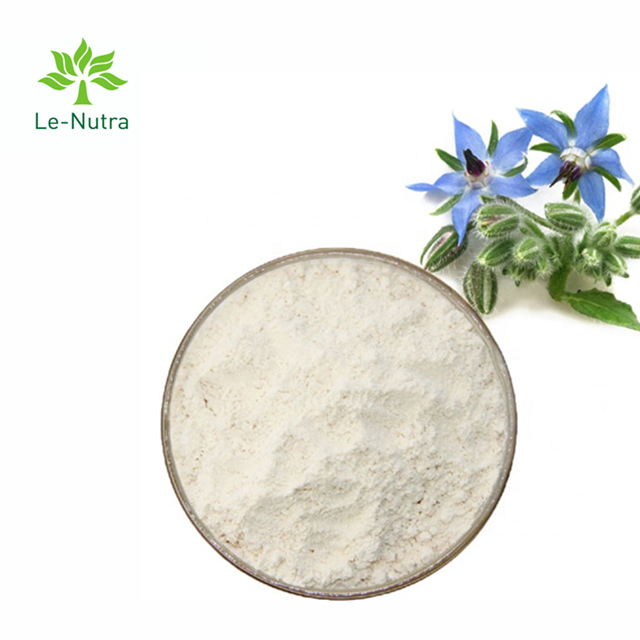 Порошок масла семени Borage Gmp естественный высококачественный с линоленовой кислотой и жирной кислотой омеги 6