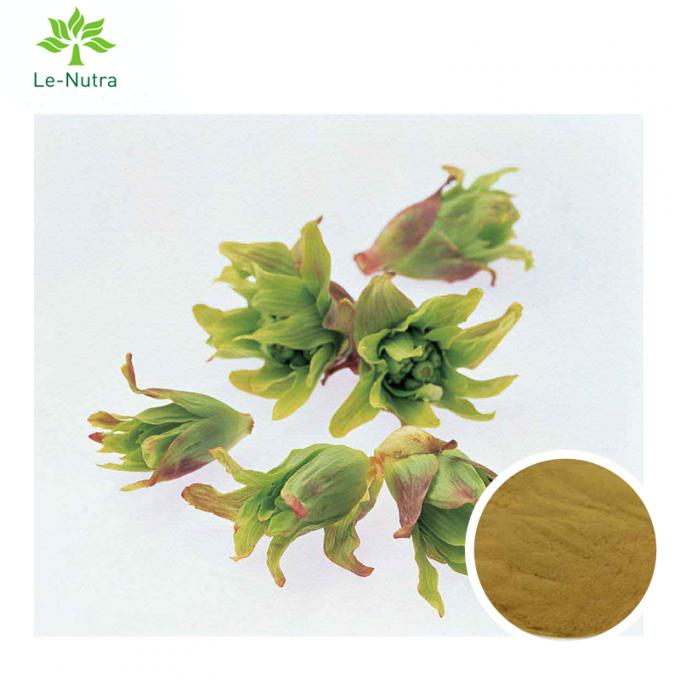 Высококачественный травяной порошок выдержки лист Butterbur выдержки/выдержка Petasin 15% Petasites Japonicus