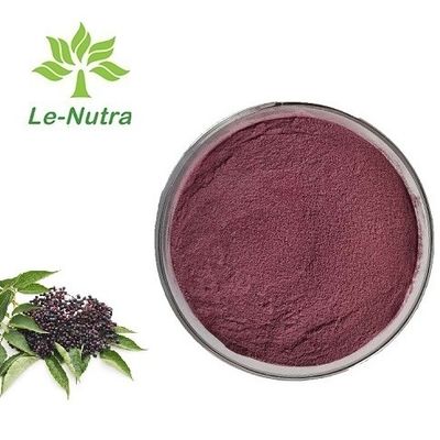 Hot Selling Improve Immunity Organic Natural Black Standardise elderberry fruit extract powder Anthocyanin 25%