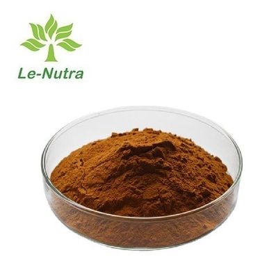 Professional Manufacture Supply High Quality Natural Dandelion Extract Dandelion Powder Root Extract Polysaccharide Flav