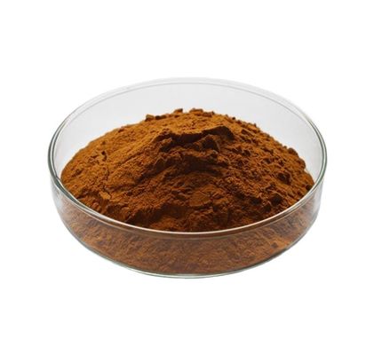 Professional Manufacture Supply High Quality Natural Dandelion Extract Dandelion Powder Root Extract Polysaccharide Flav