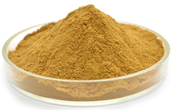 Herbal Extract Powder Pure Melissa Officinalis Lemon Balm Extract Powder with Flavones/ Rosmarinic acid