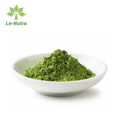 Herbal Extract Powder Factory supply Natural Pure green tea powder Matcha powder Green with best price