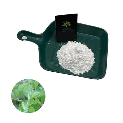 Herbal Extract Powder Factory Supply Best Quality Pure Natural vine tea extract powder 98% dhm
