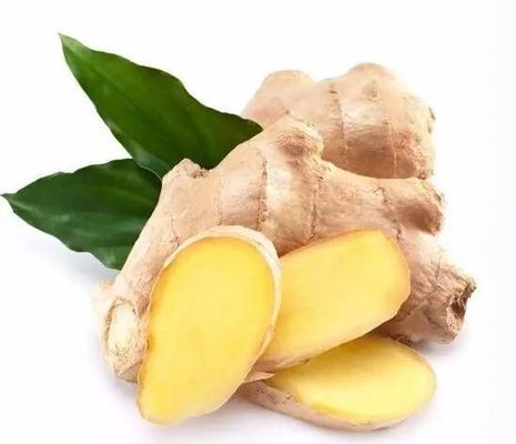 Ground Genger Dietary Supplement Powder Spicy Aromatic Pure Ginger Powder