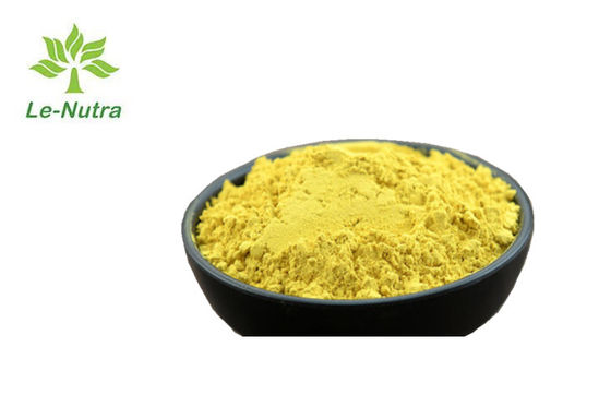 Light Yellow Herbal Extract Powder Berberine Coptis Root Extract