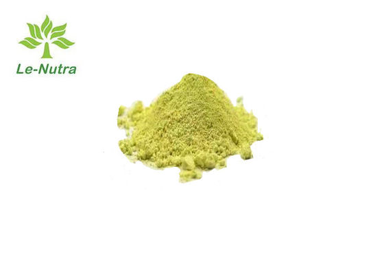 CAS 520-18-3 Herbal Extract Kaempferol Powder Anti Cancer