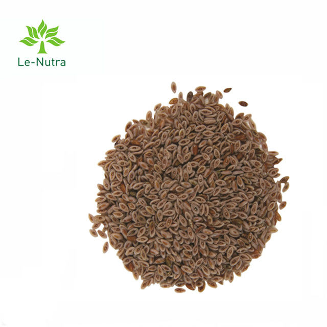 Herbal Extract Powder Plantaginis extract plantago ovata powder