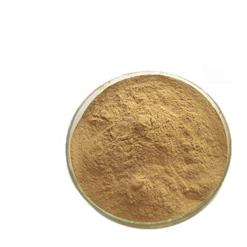 GMP ISO Herbal Extract Powder Pure Natural Chlorogenic Acid Powder CAS 327-97-9