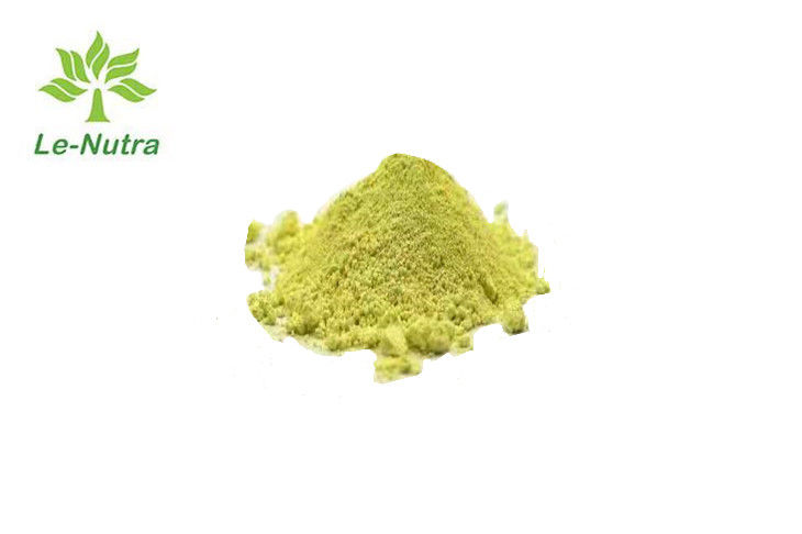 CAS 520-18-3 Herbal Extract Kaempferol Powder Anti Cancer