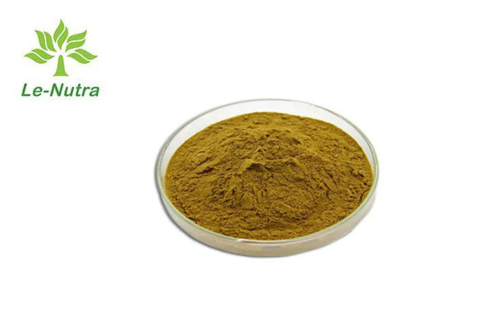 Yellow Fine 98% Herbal Kaempferol Extract From Fruit Part