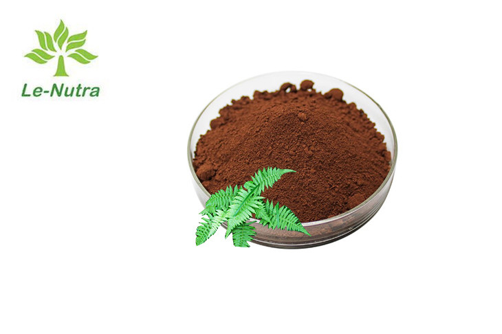 Rhizoma Drynariae Extract Herbal Extract Powder For Fractures